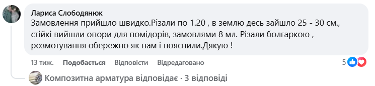 Image title
